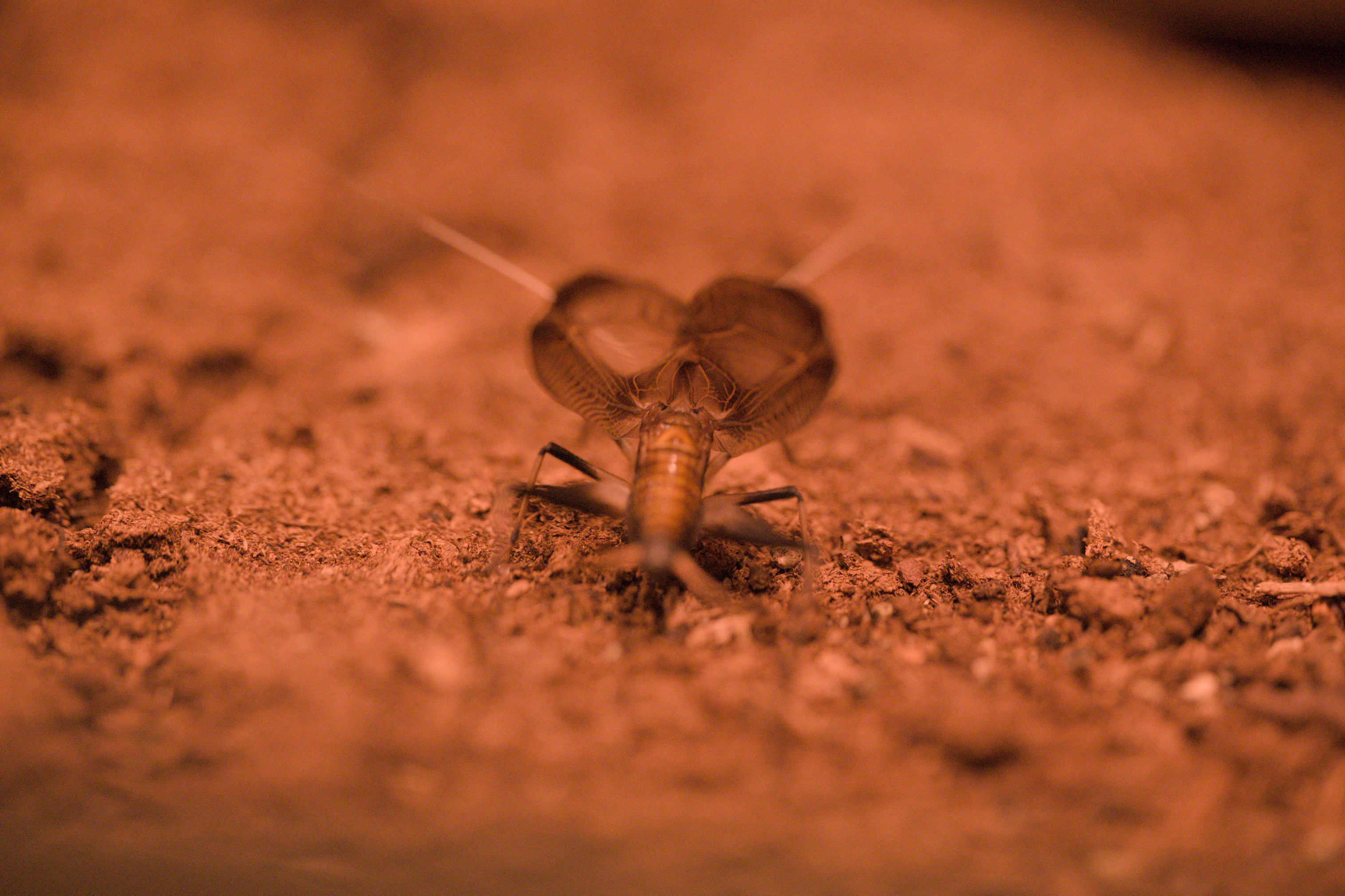 2025/10/12 - zoo/DSC_0243.jpg